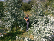 Το Φυτώριο μας